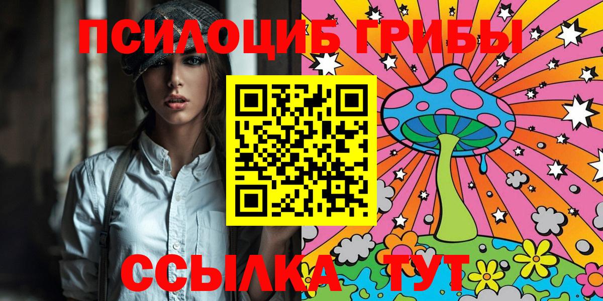 Галлюциногенные грибы Cubensis Балахна