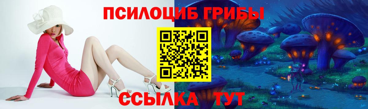 Галлюциногенные грибы Psilocybine cubensis  Вход с VPN  Балахна 